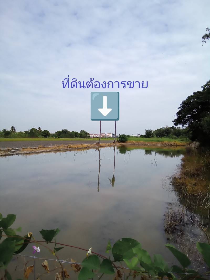 ขายที่ดิน นนทบุรี 0-3-96 ไร่