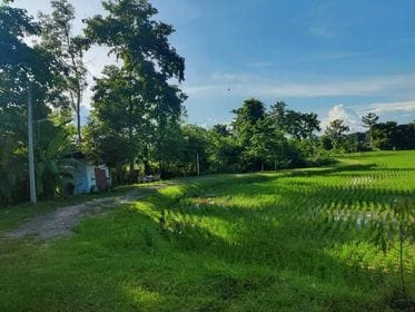 ขายที่ดินเชียงราย เมืองเชียงราย 2-2-29.3