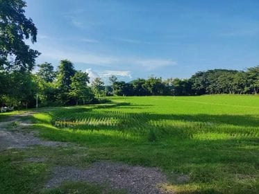 ขายที่ดินเชียงราย เมืองเชียงราย 2-2-29.3