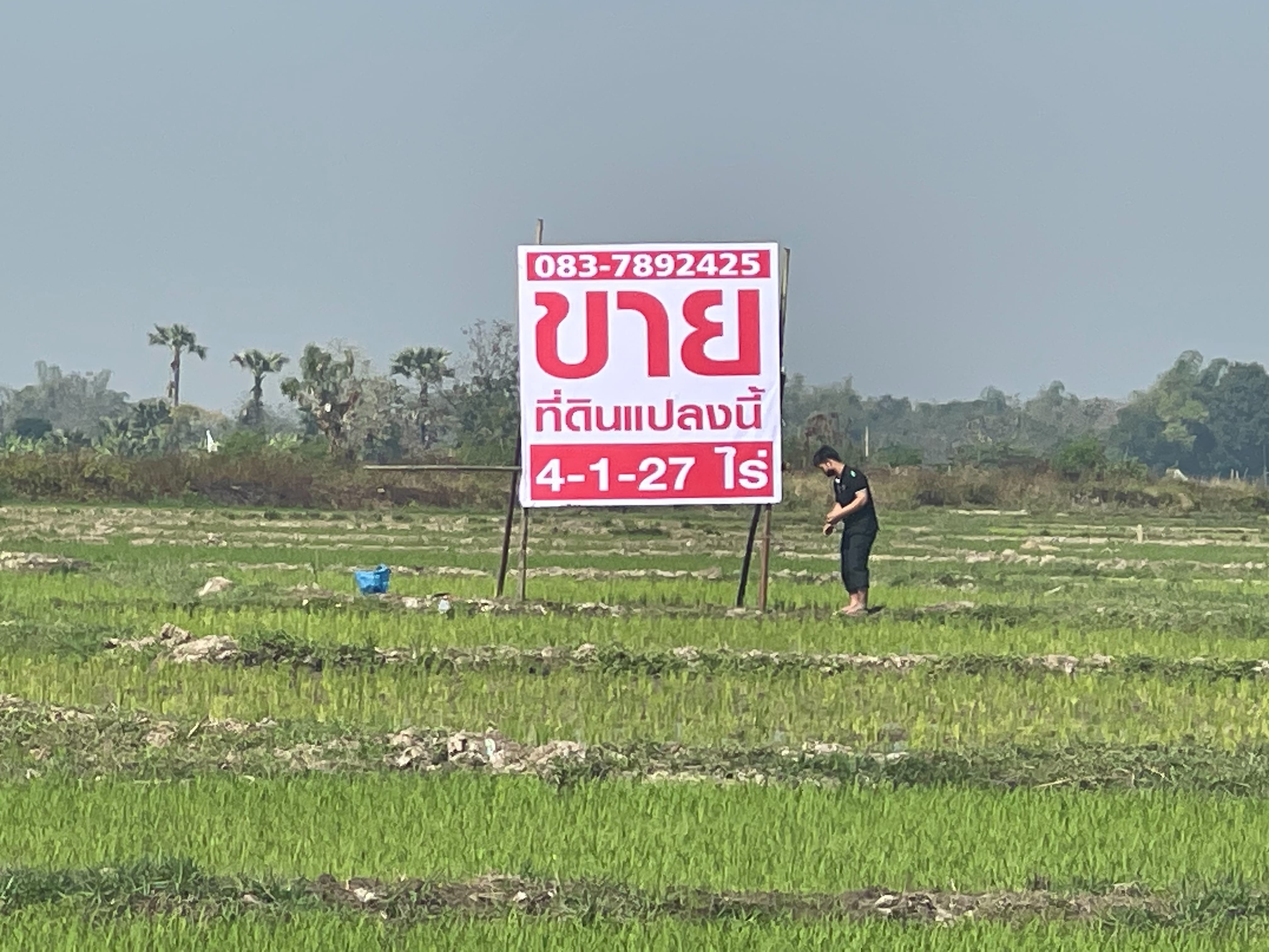 ขายที่นา ต.แม่โป่ง (รอยต่อ อ.สันกำแพง)  อ.ดอยสะเก็ด จ.เชียงใหม่  4-1-67 ไร่