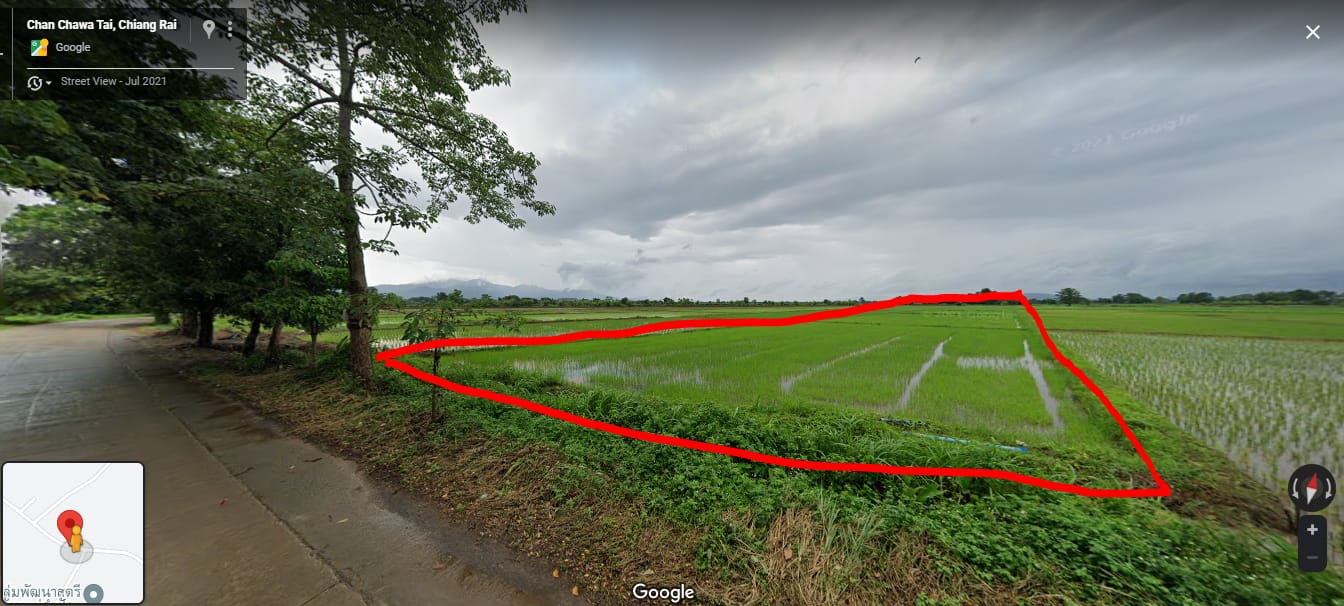 ขายที่นาพร้อมทำนาได้ตลอดติดถนน