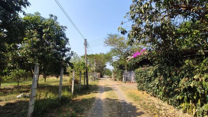 ขายด่วน!!! ราคาต่อรองได้ ที่ดิน 2งาน 97 ตร.วา โฉนดครุฑแดง ติดโรงเรียนโคกสำโรงวิทยาลัย ต.คลองเกตุ จ.ลพบุรี