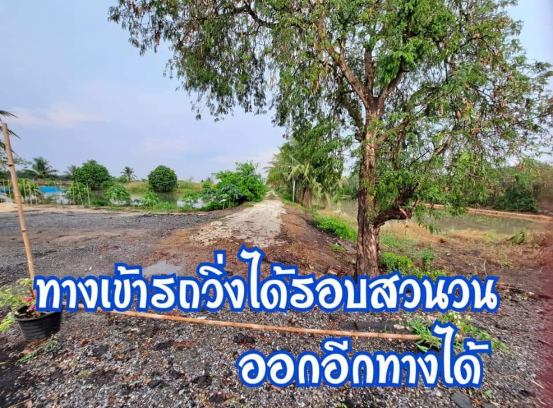 ที่ดินราคาถูกติดถนน