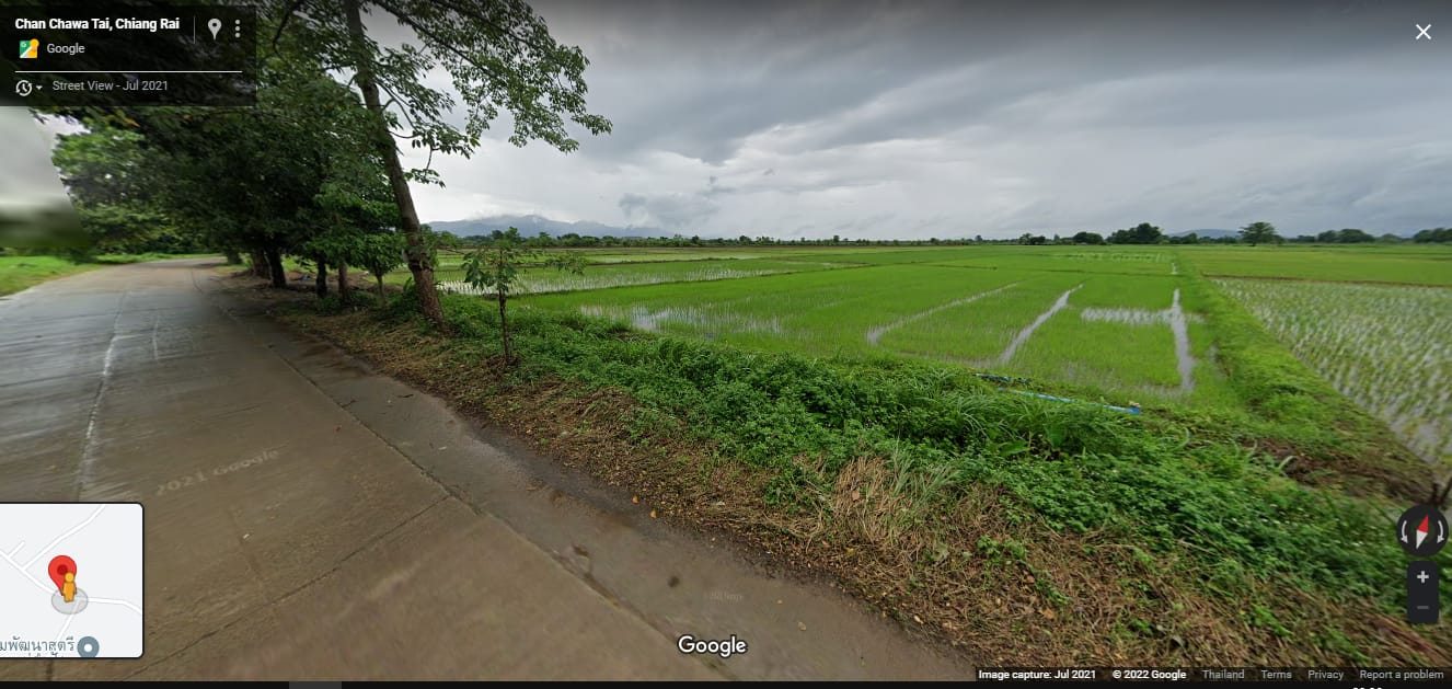 ขายที่นาพร้อมทำนาได้ตลอดติดถนน