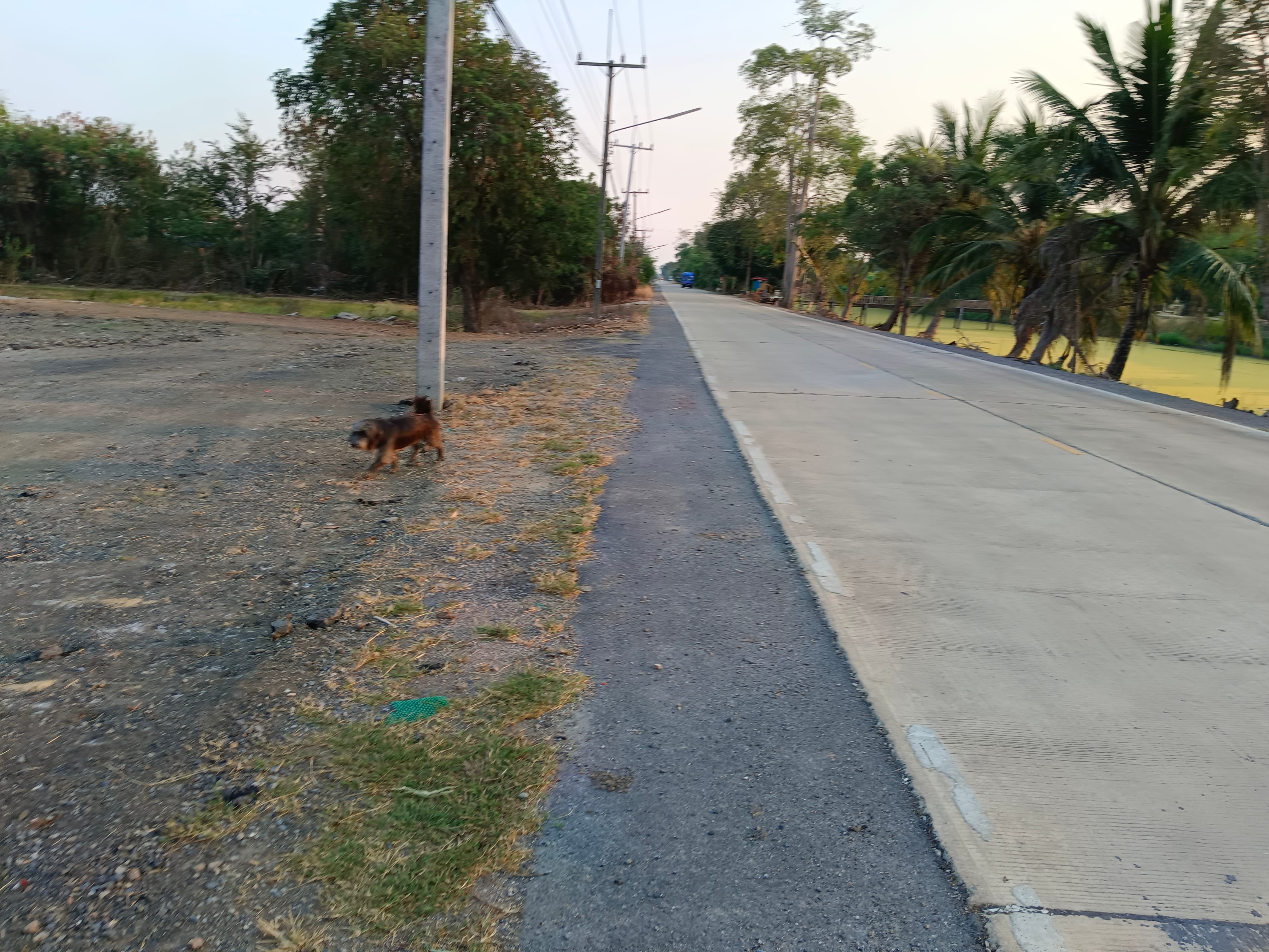 ที่ดินราคาถูกติดถนน